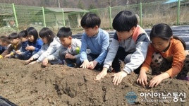 청주 미원초 금관분교장, 감자와 울금 심으며 환경생태교육
