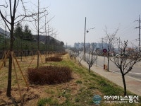 증평군 “녹색도시 명성 이어간다”