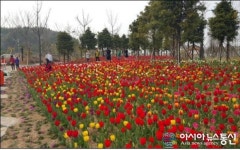 목포 삼학도로 튤립 구경오세요