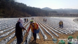봉화 법전 적십자봉사회 일석이조 봉사활동