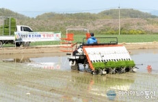 창녕군 대지면에서 도내 첫 모내기