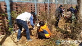 인천시 부평구 산곡2동, 원적로 꽃길 한뼘 꽃밭, 화단 가꾸기 사업 완료