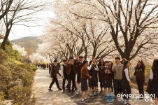 충주중산고, 얘들아, 꽃길 걷자 이색 이벤트 눈길