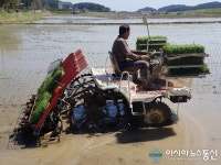 양양군, 현북면에서 올해 ‘첫 모내기’ 실시