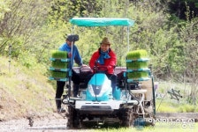 이희진 영덕군수 남정면서 첫 모내기