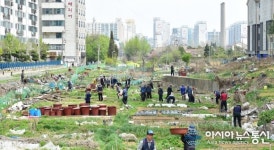 인천시 부평구 산곡동, 장고개길 도로개설지역 폐기물 정비