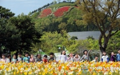 나비 따라오니 함평 왔네!