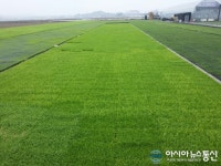 경상남도농업기술원, 벼 못자리 현장 기술지원