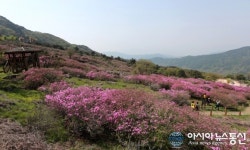 산청황매산철쭉제 SNS 해시태그 이벤트