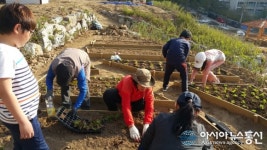 인천 남구, 도심에서 농촌체험 가능한 도시농업농장 개장