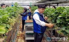 농협 하나로마트 반림점, 창원 대산면 한 농가서 일손 돕기 ‘구슬땀’