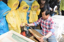 세종시, 연동면 황협주 농가에 시민 체험양봉장 개장