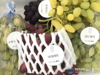 [모바일 장네크 소상공인 이강안 센터장] 청정지역 태금농산 포도농장을 소개한다