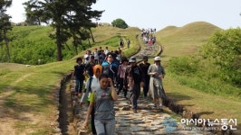 대구가톨릭대학교의료원 교직원, 대가야고분군에 매료되다