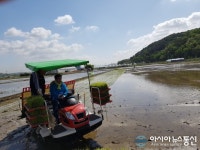 공재광 평택시장, 풍년농사 기원 모내기 행사 개최