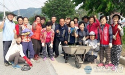 음성군 금왕읍 다부내마을, 화단 조성 ‘구슬땀’