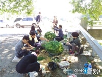 옥천군 군북면사무소 직원들 농촌 일손돕기 나서