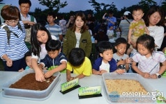 충북농기원, 내달 2일부터 반딧불이 체험행사