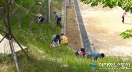 진해구 중앙동, 공설운동장 뒤 생활체육시설 주변 환경정비 ‘구슬땀’