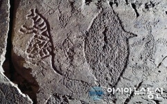 ‘2017년 반구대암각화 국제학술대회’ 울산서 개최