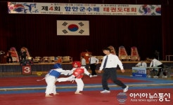 제4회 함안군수배 태권도 대회 성료