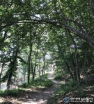 예산군 봉수산자연휴양림에 무장애 숲길 조성