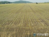 화성시, 가뭄 극복 위해 재난관리기금 긴급 지원