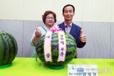 의령 용덕면 양재명 씨, 전국 왕수박 부문 대상 수상