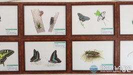 부평숲 인천나비공원, 27일부터 생물 세밀화 특별전 개최