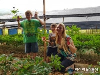 한국 인삼에 반했어요 주한미군 금산엑스포 팸투어
