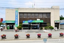 세종시 동세종농협조합장 보궐선거 다음달 2일 실시