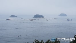 경상남도, 적조 마무리 점검 ‘민관군경 합동 모의훈련’