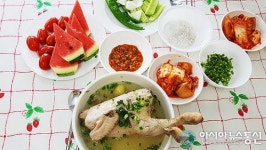 제천 적십자드림봉사회 ‘福드림 삼계탕’ 효행