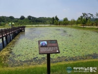 창녕 우포늪 생태체험장…수생식물 천국