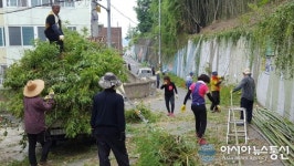 마산합포구 교방동, 학교옹벽 대나무 베기작업 ‘구슬땀’
