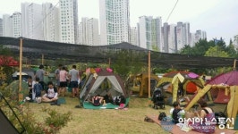 성산구, 기업사랑공원 물놀이장 그늘막 설치