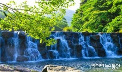 피서는 휴식 $힐링1번지 완도수목원이 제격