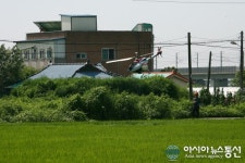 무인헬기로 공동방제 실시하는 송탄농협