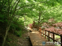 보령 성주산에 모노레일 설치 된다