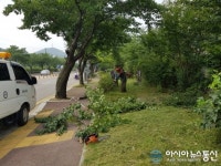안산시 상록구, 여름장마 종료 후 녹지대 정비 나서