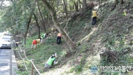 마산합포구 교방동, 서원곡 꽃무릇 동산 환경정비 ‘구슬땀’