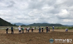 창원시, 낙동강 친수 공간 내 ‘메밀밭’ 조성