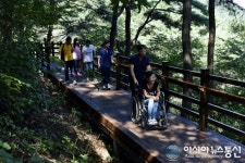 창녕 화왕산 산림욕장 무장애나눔길 조성