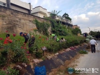 (포토)충주 행복경로당 “행복정원 가꿔요”