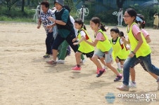 보은 속리초, 마을을 품은 장안골 해바라기 축제 열어