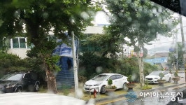(카메라고발)제천시평생학습센터 고질적 ‘인도주차장’