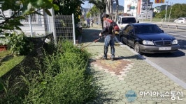 마산합포구 진동면, 도로변 제초작업 등 대대적 환경정비