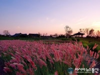 함평군 주포한옥마을에 이색정원 억새밸리존 조성