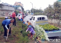 (포토)충주 지현동 행복정원 가을꽃 단장