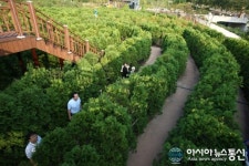 해남 두륜미로파크 개장 1주년, 미로 보물찾기 등 다채